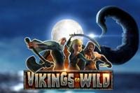 vikings-go-wild-logo